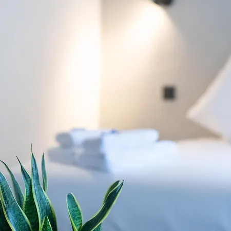 Lucca Hotel